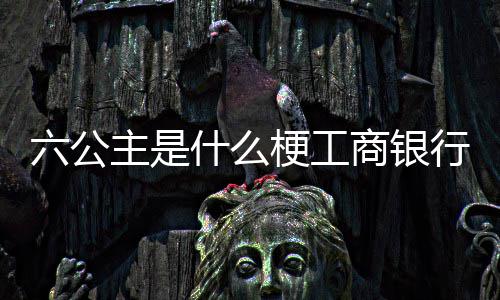 六公主是梗工什么商银行A