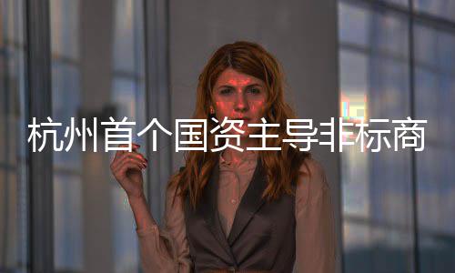主导国资杭州首个商业建成项目非标